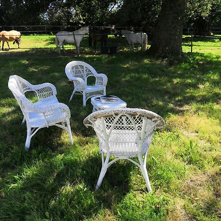 Bed and Breakfast La Marquise Penchee Orsennes Zewnętrze zdjęcie