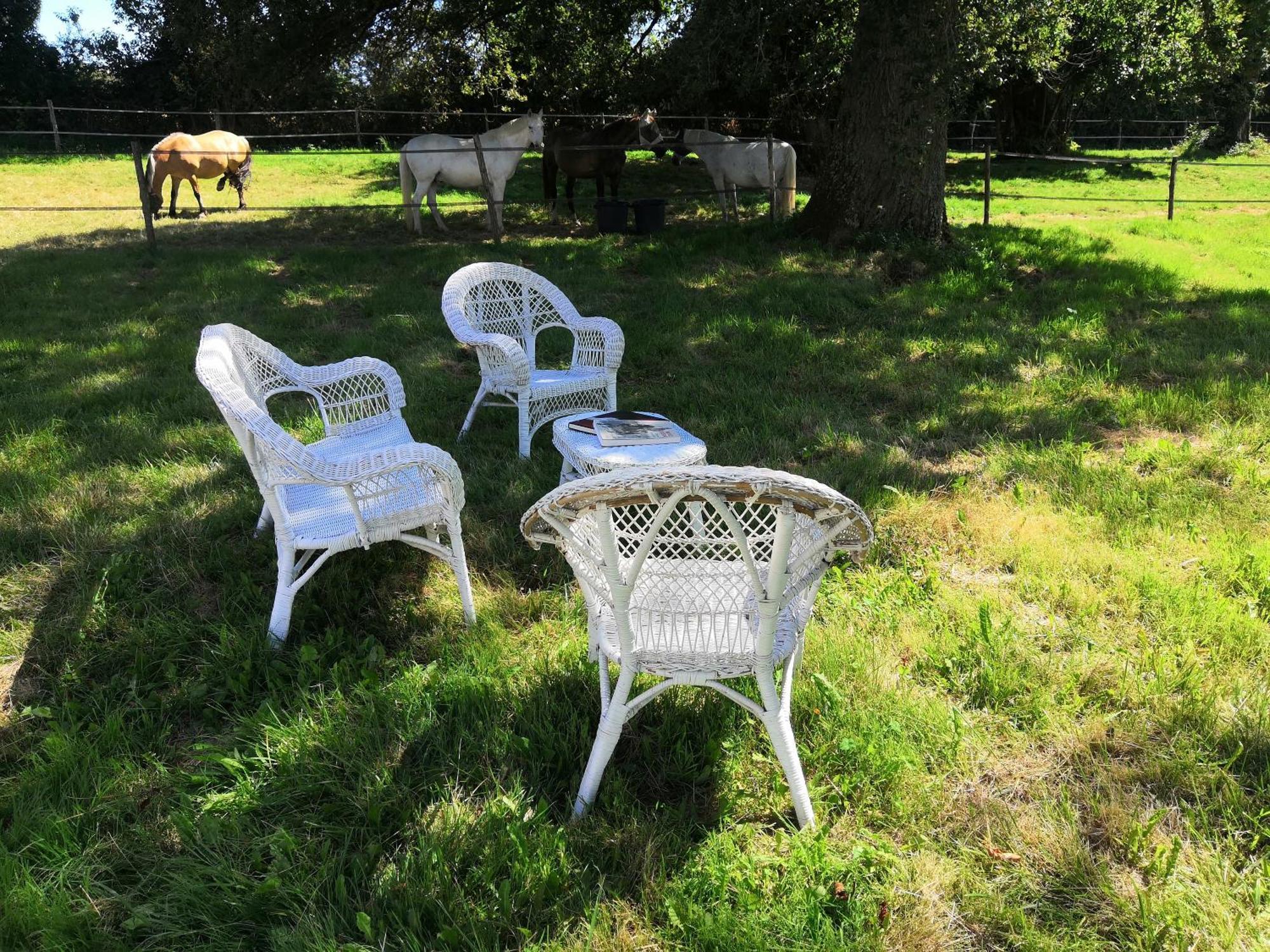 Bed and Breakfast La Marquise Penchee Orsennes Zewnętrze zdjęcie